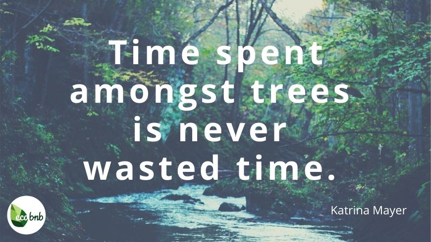 one of the most powerful quotes about sustainability: the importance of trees