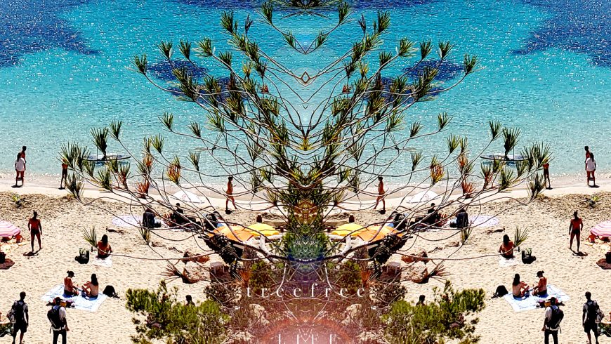 Tree of Life by Flavio Kampah
