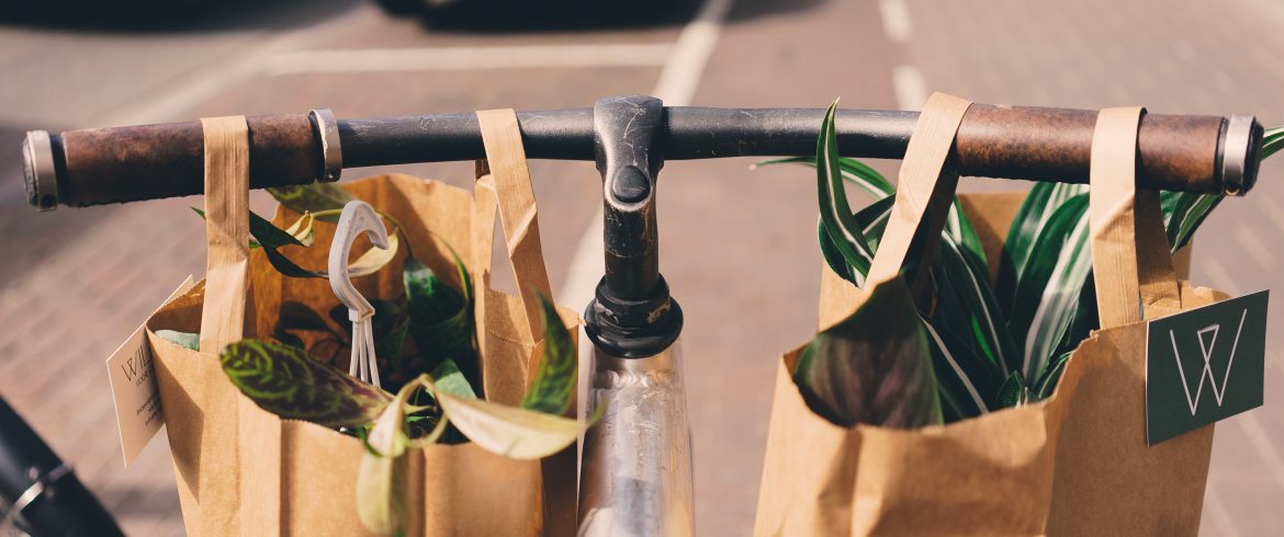 Start shopping more sustainably today with our refill guide