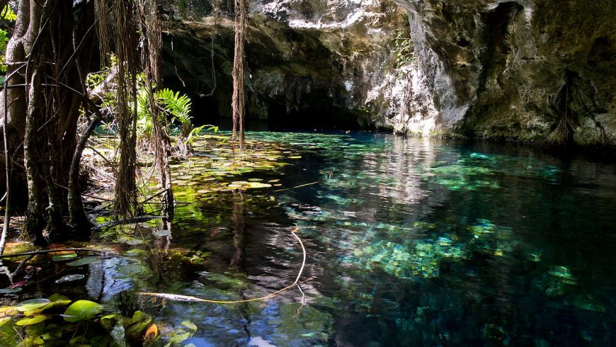Gran Cenote, Yucatan, Mexico
