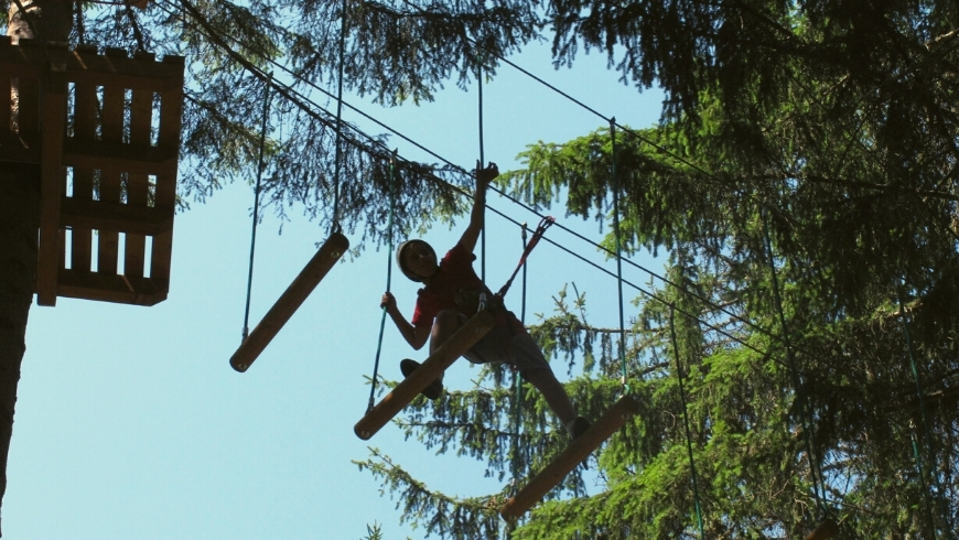 Tree climbing