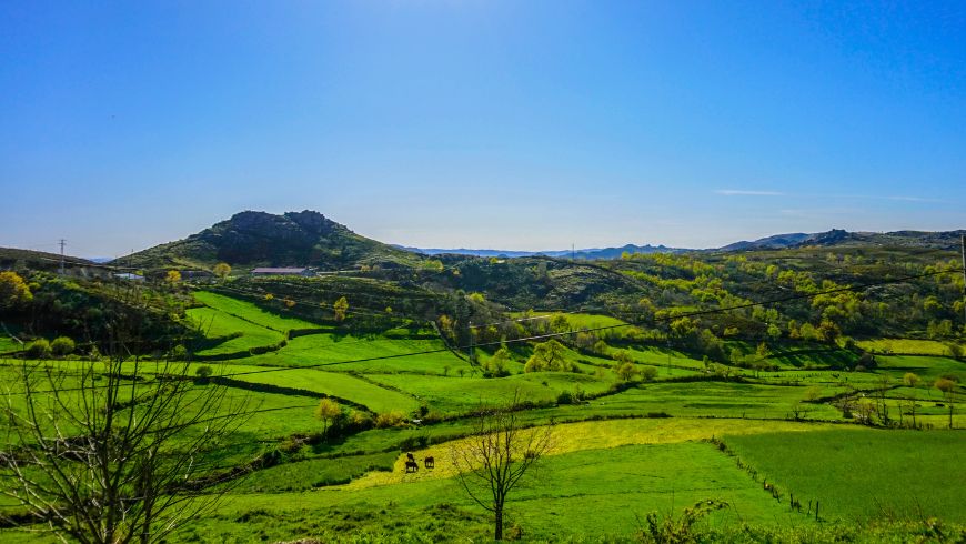 Alvão Natural Park
