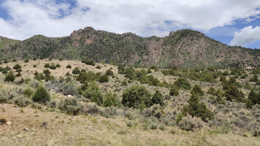 Gunnison National Forest, Colorado, USA