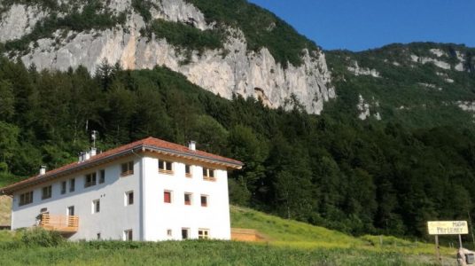 Organic farmhouse in Trentino