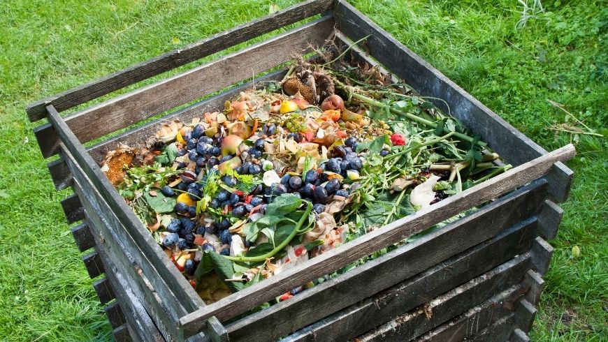 compost pile