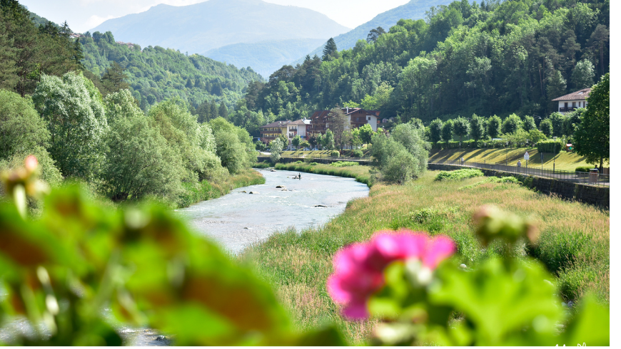 View of Trentino's mountains