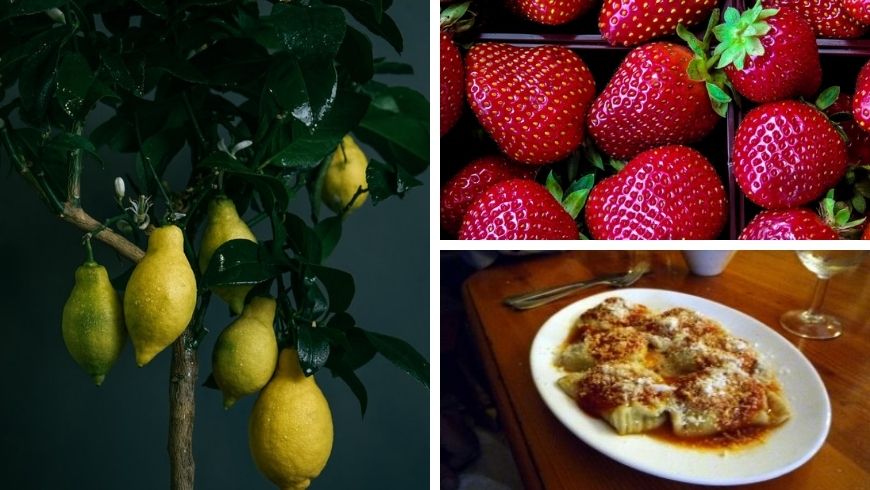 Food specialties of Gozo