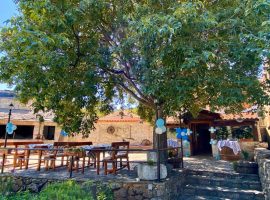 Sustainable gastronomy Dalmatia