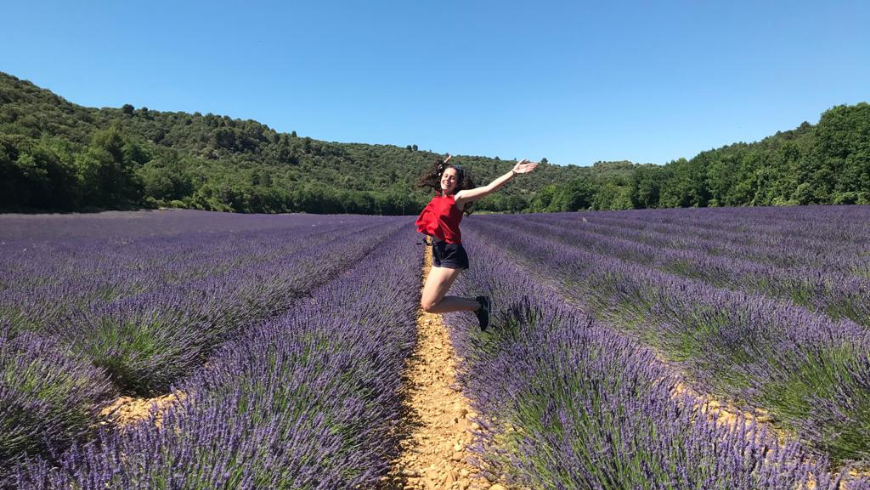Lavender fields. Photo by Irene Paolinelli