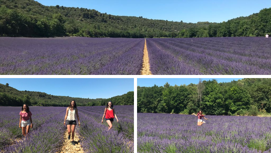 Discover the Lavander fields. Photos by Irene Paolinelli