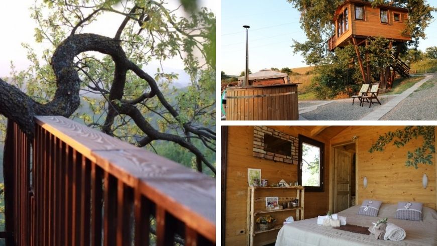 Tree and room at Glumping Il Sole, Tuscany