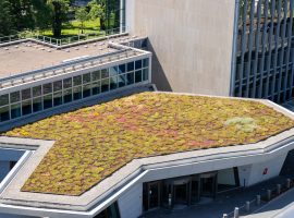 Green Roof at the WIPO Headquarters in Geneva