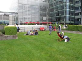 Green roof with people