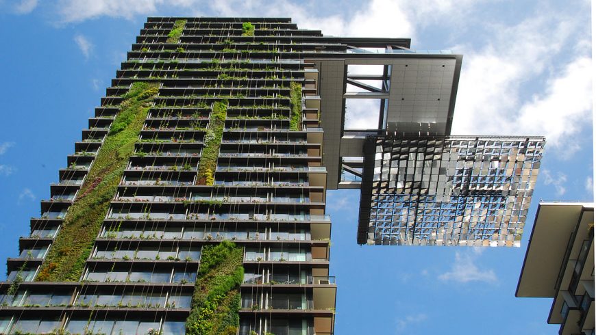 Vertical garden in Sydney