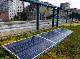 Solar panels on a green roof
