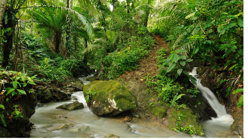 Darién National Park, the wilder side of Panama