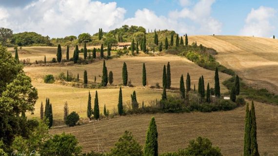 Top 10 Nature Parks in Tuscany and the Best Green Tips - Ecobnb