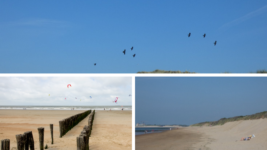 Knokke-Heist. Photos by Irene Paolinelli and dekust.be