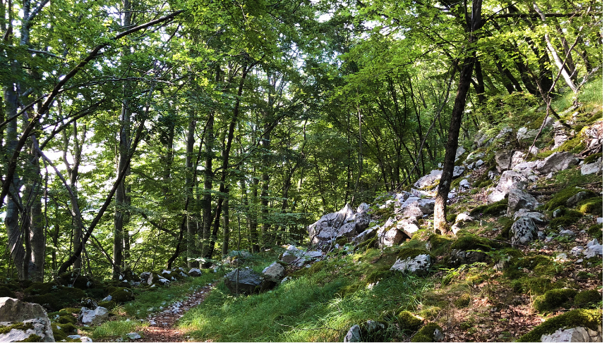 Mount Učka