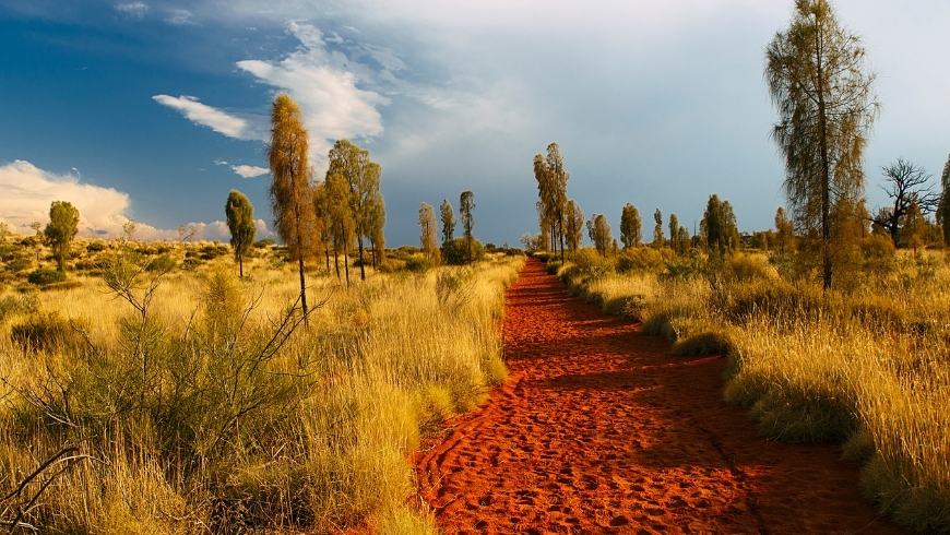 Uluru Landscape - Australia