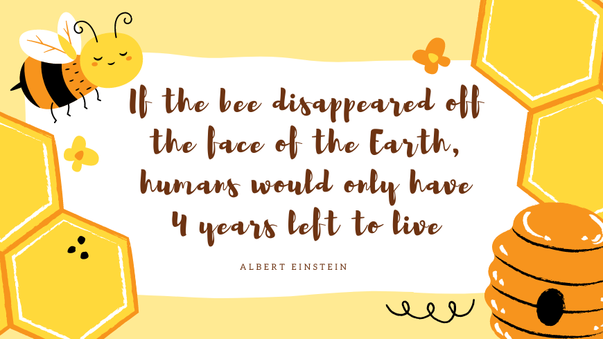 quote Einstein bees