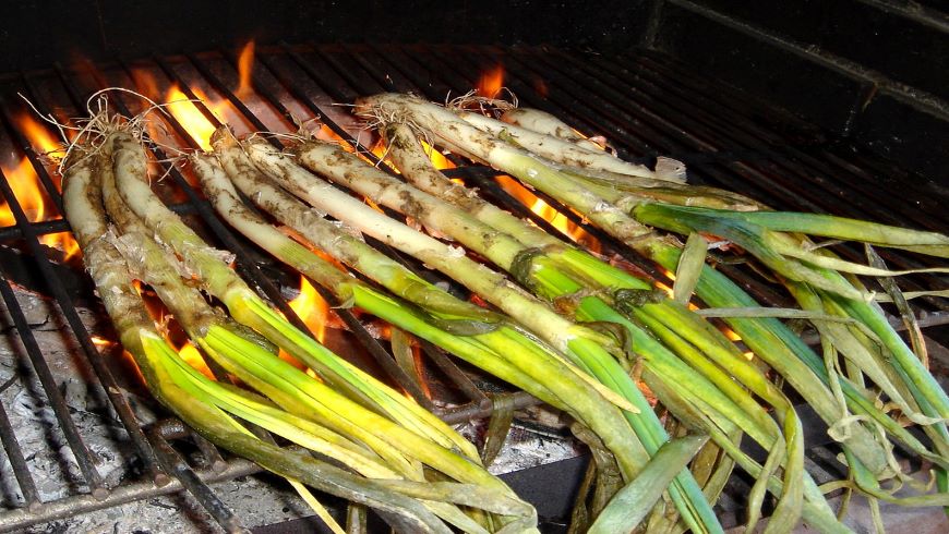 Calçots