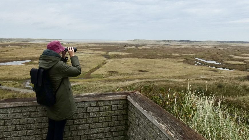 Birdwatching in the Island of Texel. Photo by Irene Paolinelli