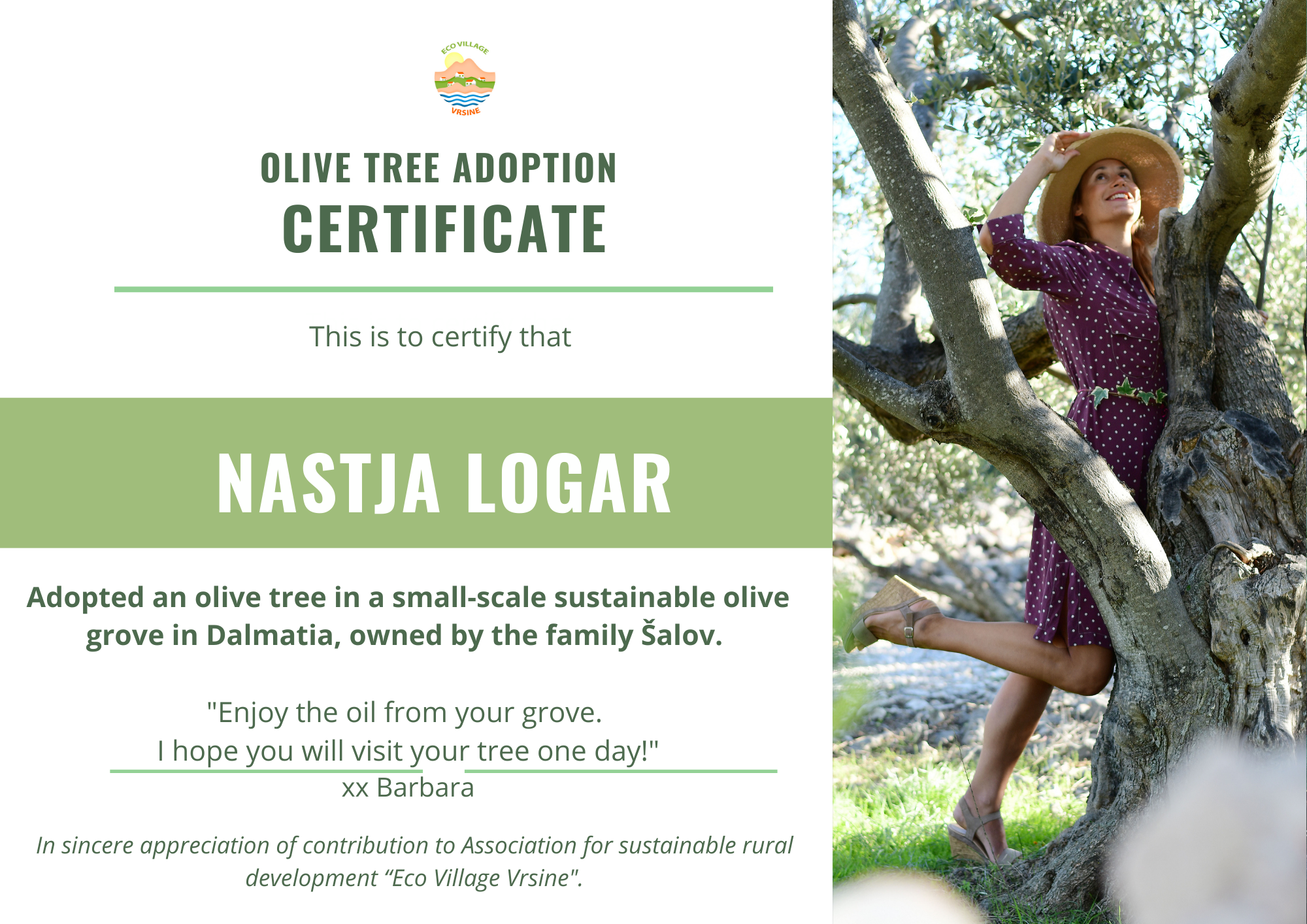Adopt an olive tree certificate