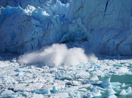 melting of polar caps as a direct consequence of climate change