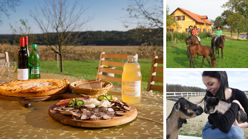 Turistična kmetija Vrbnjak farm holidays slovenia