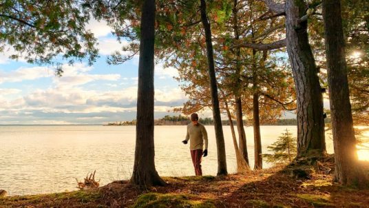 A man exercising out in nature with a couple of trees on the right and a body of water on the left.