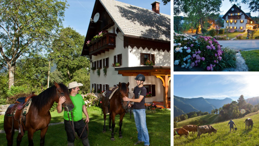 Turističina Kmetija Pri Flandru farm holidays slovenia