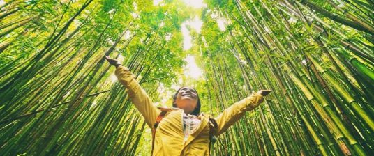 joyful girl in the middle of a bamboo forest