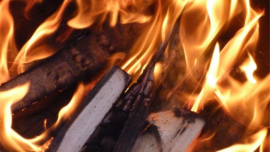 Burning wood is harmful to the Planet, new studies confirm it - Ecobnb