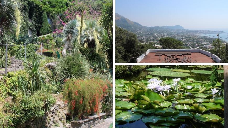 the beautiful Giardini La Mortella on the island of Ischia, a jewel not to be missed in Italy