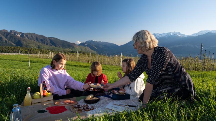 Cheesenic, your sustainable take away lunch among the Dolomites