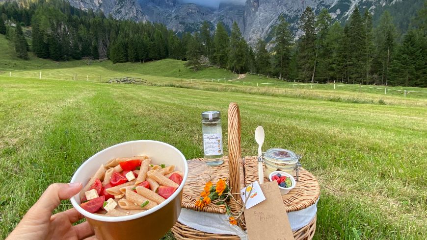 eco-friendly pic-nic with Dolomites view