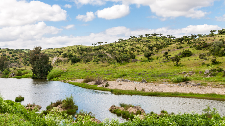 Views of Alentejo