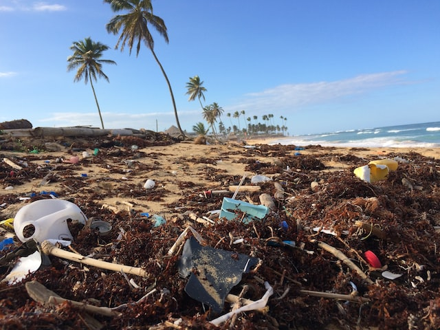 waste on the beaches alongside the sea
