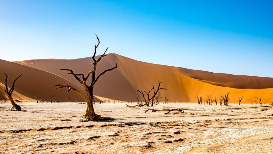 Namibia desert