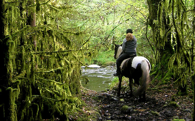 Horse riding in Ireland