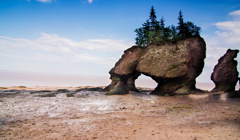Bay of Fundy biosphere reserve nature in Canada