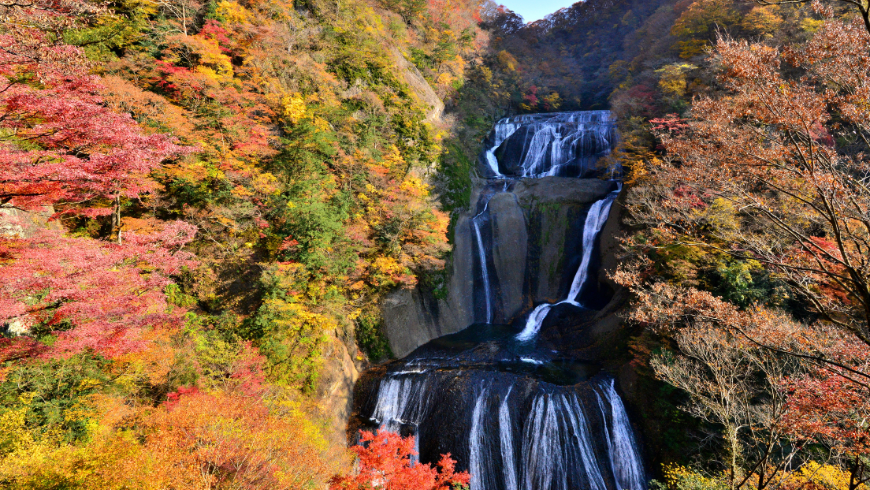 Fukuroda Waterfall in autumn