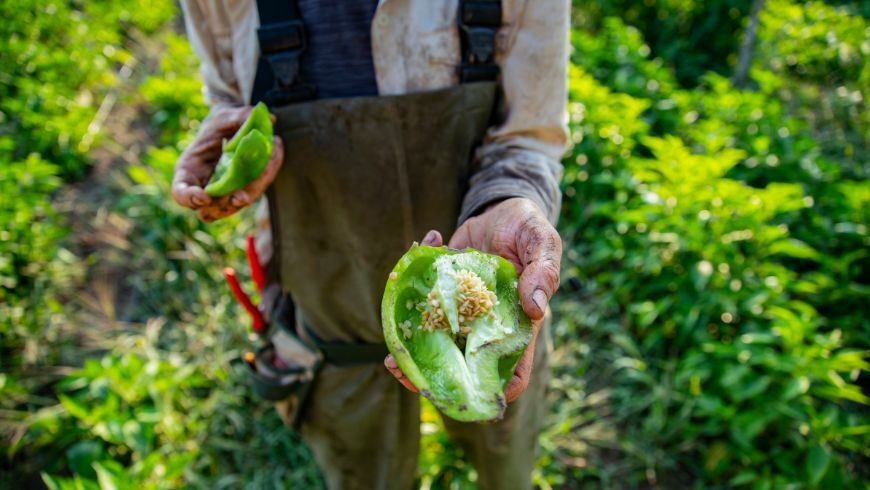 Supporting local farmers