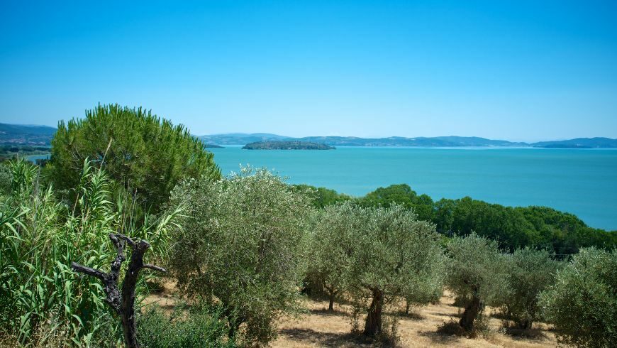 Lake Trasimeno