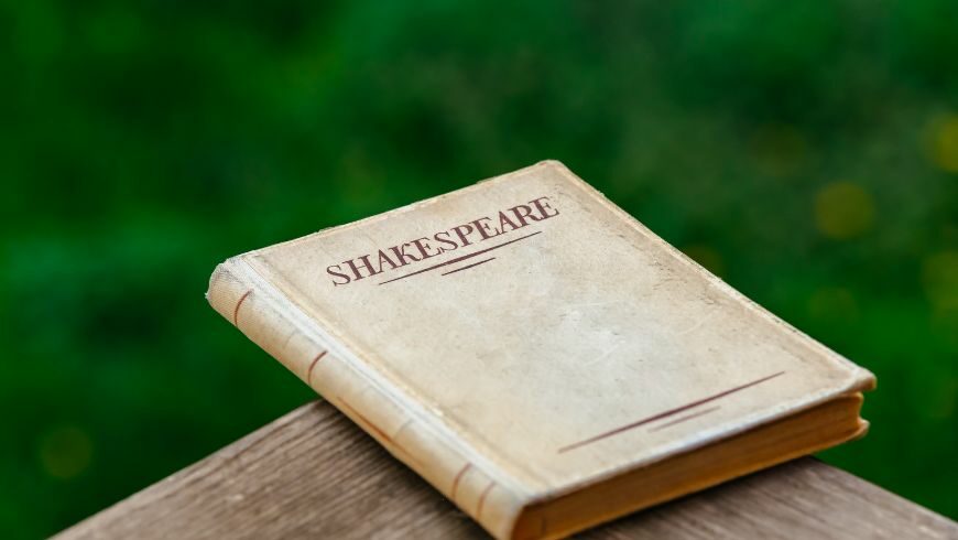 William Shakespeare's  book