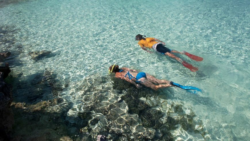 Family snorkeling 