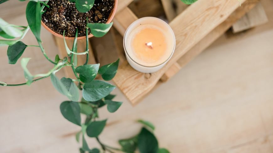 candle and plant