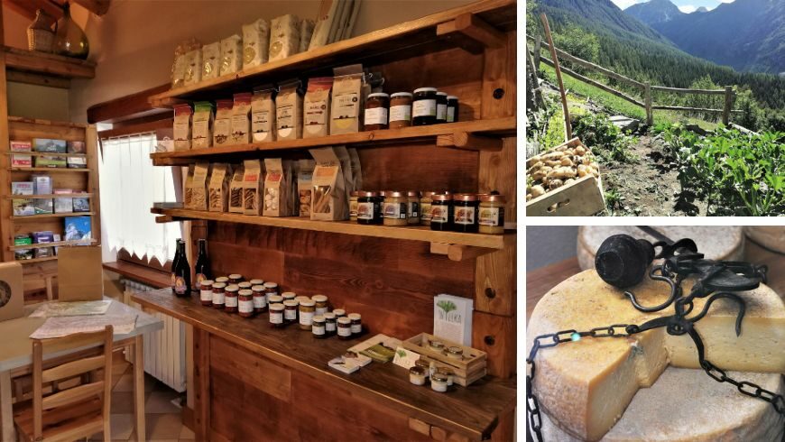 Sagna Rotonda: loca food in the small shop and organic garden