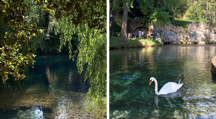 Sources of Clitunno, willow-trees, swan swimming in the river